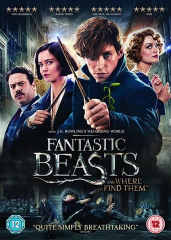 Fantastic Beasts And Where To Find Them (12) 2016
