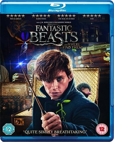 Fantastic Beasts & Where To Find Them (12) 2016